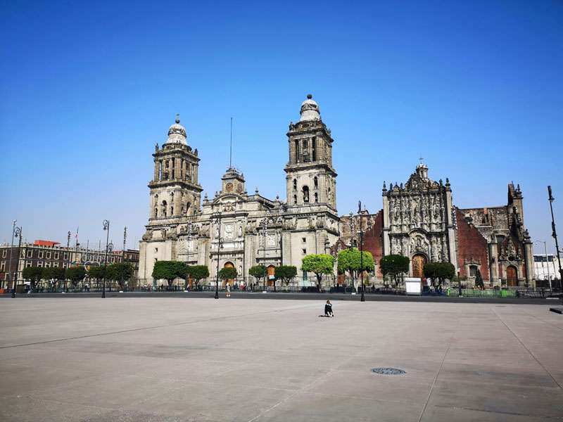 best area to stay in mexico city