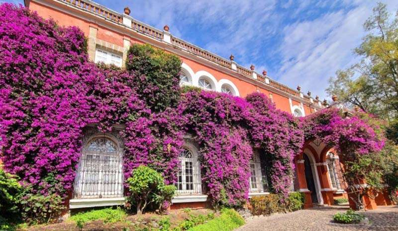 hotel mexico city